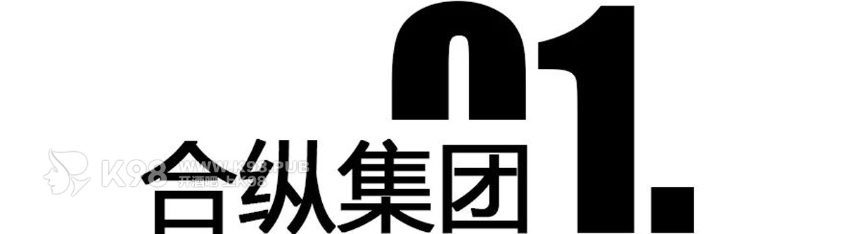 合纵集团